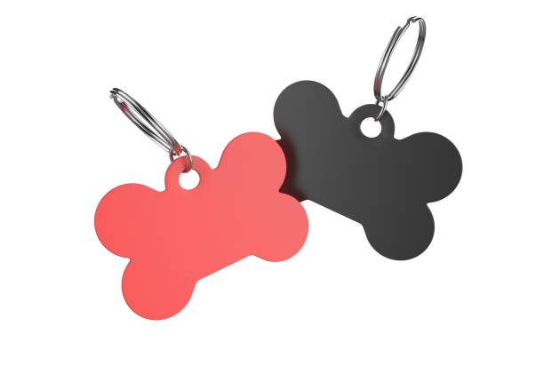 istock Blank Cat Dog Id Tag Name Pendant Bone Necklace Collar Mockup. 1394416087