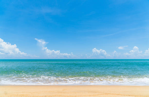 istock Sandy beach in summer season 1394417468