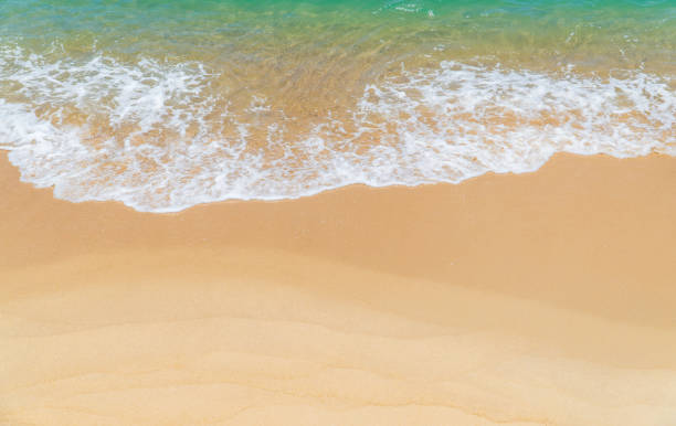 istock Sandy beach in summer season 1394417477