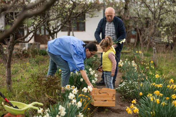 istock Family picking flowers together 1394420179