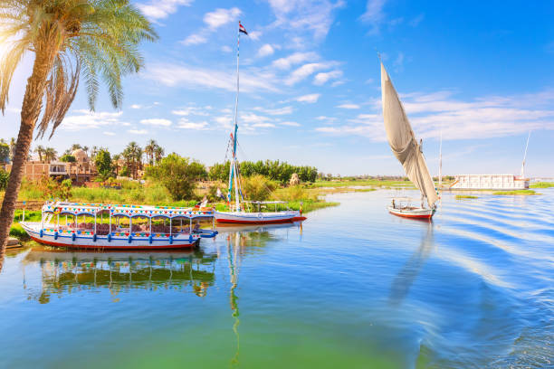Picturesque banks of the Nile near Luxor city, Egypt Picturesque banks of the Nile near Luxor city, Egypt. nile river stock pictures, royalty-free photos & images
