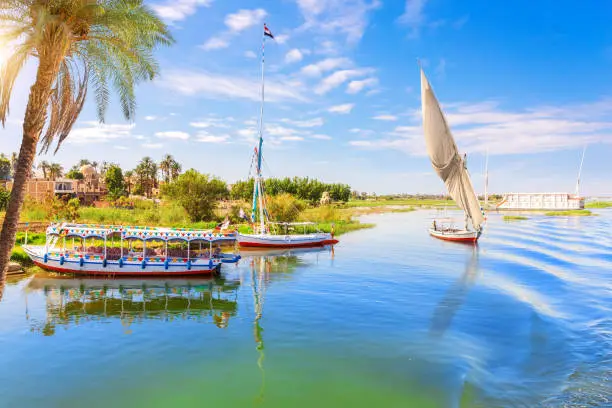 Picturesque banks of the Nile near Luxor city, Egypt.