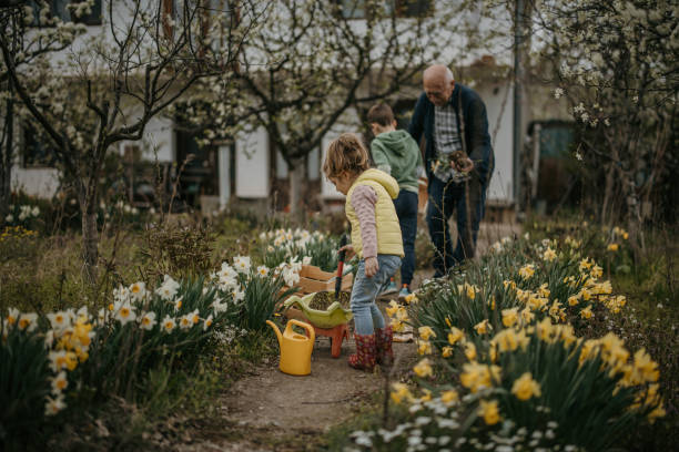 istock Grandchildren picking flowers 1394421094
