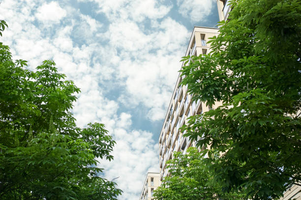 Residential area under blue sky