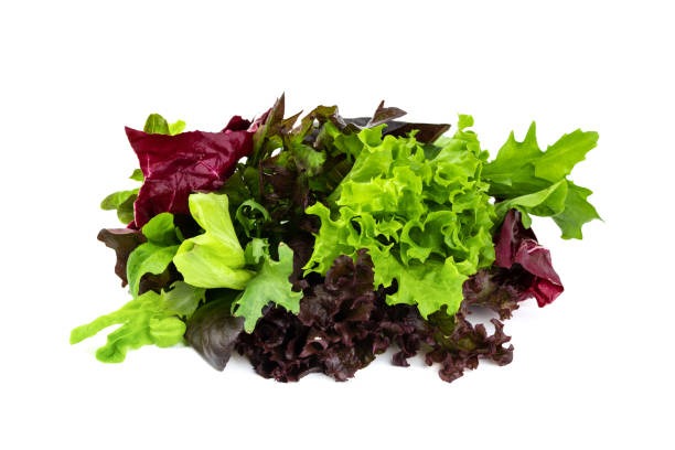 istock Raw fresh mixed salad on isolated white background 1394425409