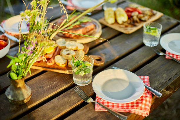 istock Served with plates dinner table, summer picnic outdoor at home backyard on fresh air, appetizers variety serving on party with grilled vegetables, lemonade, steak, camembert cheese. 1394425775