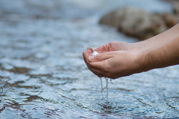 istock Hands scoop clean water from the stream. Drink from the river. 1394425861