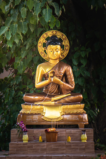 Golden Buddha statue under the Bo tree