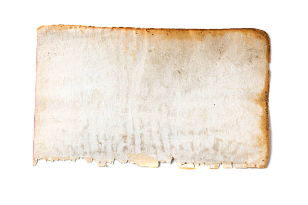 istock Vintage paper sheet isolated on white background. 1394432479