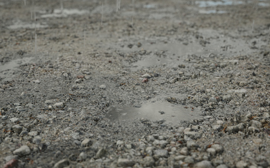 Digitally generated close-up shot of rain puddles in the dirt.\n\nThe scene was created in Autodesk® 3ds Max 2022 with V-Ray 5 and rendered with photorealistic shaders and lighting in Chaos® Vantage with some post-production added.