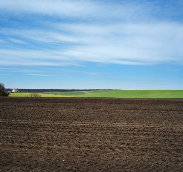istock plowed field with blue skies and clouds, agriculture in spring 1394437369