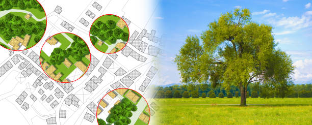 istock Census of trees in cities -  green management and tree mapping concept with imaginary city map with highlighted trees 1394444974