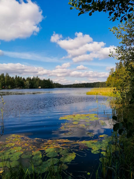 istock View to the lake 1394447843