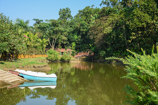 Boats in Green Lake with clear water, in Lataguri, West Bengal