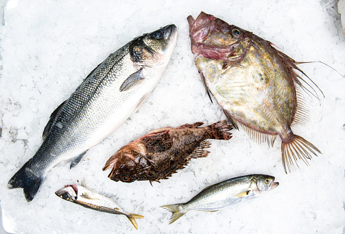 Different types of fish on ice.