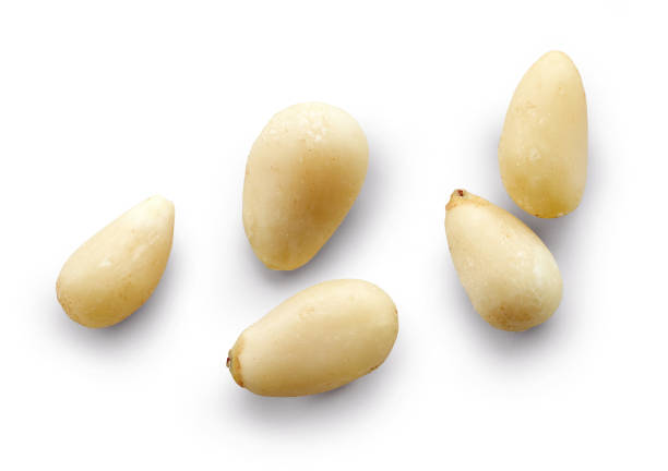 cedar nuts macro cedar nuts macro isolated on white background, top view pine-nut stock pictures, royalty-free photos & images