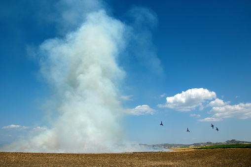 Controlled fire of agricultural field
