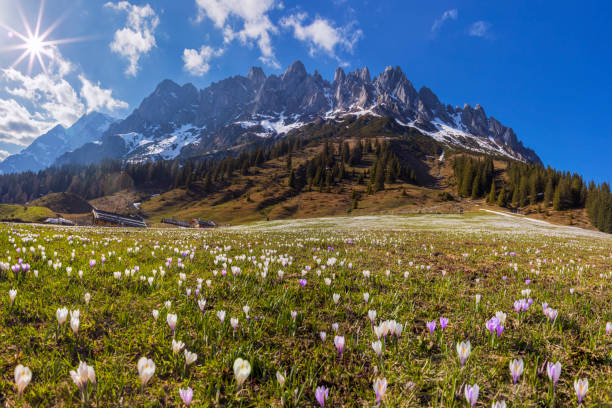 Panoramic view of Hochkönig - Mandlwände in Austria, Bischofshofen, Salzburg, Salzburger Land