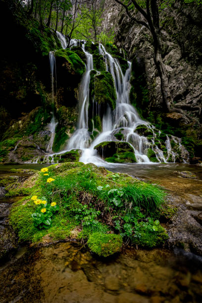 Scene from Beusnita III, a small waterfall found while trekking on the Nera Gorges-Beusnita National Park. Photo taken on 17th of April 2022, near Oravita, Caras-Severin County, Romania, Europe.