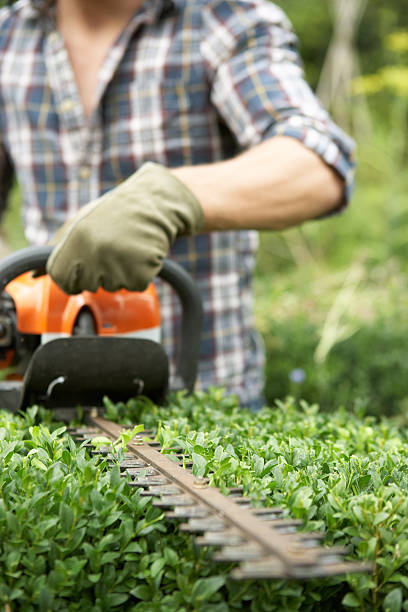 istock A person using a blade to trim a hedge 139447255