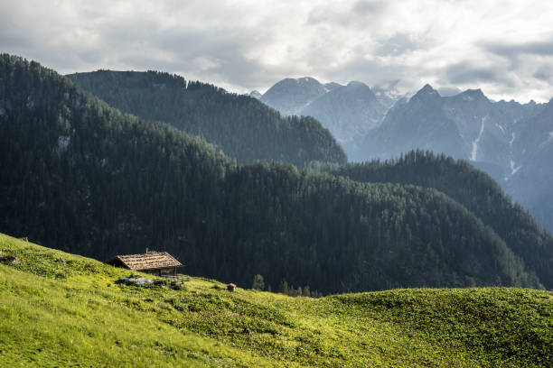 istock Alpine hut in the Berchtesgaden National Park 1394472632