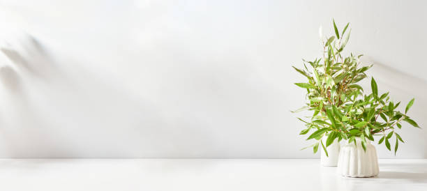 istock Branches with green leaves in a vase and shadows on a white table. Mock up for displaying works 1394477460