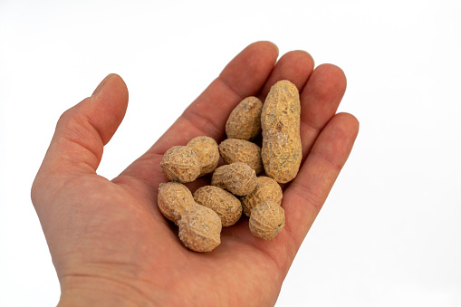Hands holding peanuts , isolated on white, white background