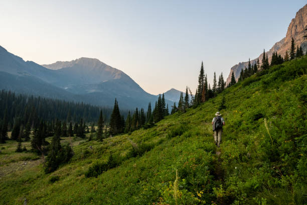 escursionista maschio che si dirige verso il sentiero del passo pitamakan nel ghiacciaio - montana mountain us glacier national park lake foto e immagini stock