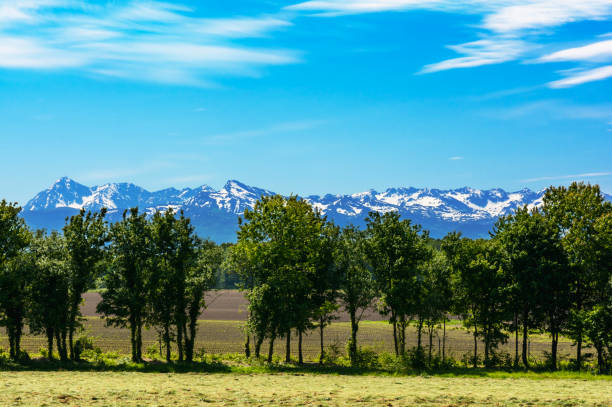 istock Snowed Pyrennees mountains seeing from a field 1394481410