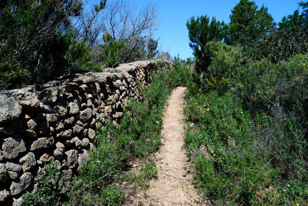 istock The path to Lu Stazzu, Sardinia 1394485301