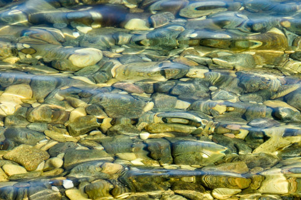 clear water in the Lumi i Shales river in a mountainous landscape in northern Albania; Zgiboze, Albania