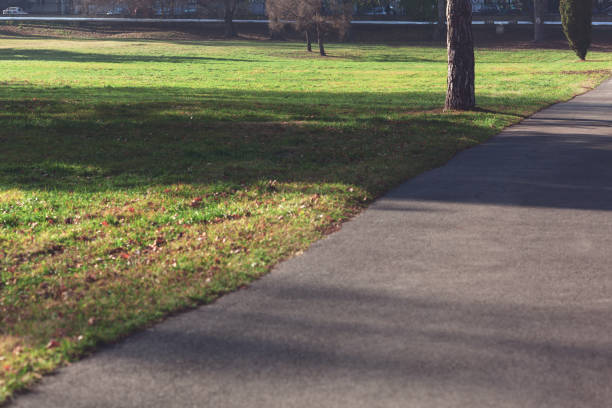 istock lawn meadow in the park 1394492712