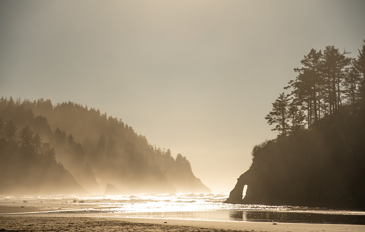 The late afternoon sunlight cuts through the fog and mist reflecting off the waves and the sandy beaches  of Oregon's Neskowin State Beach. The cliffs, trees, and natural arches are silhouetted against the setting sun.