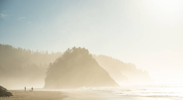 istock A Hazy Day at Oregon's Neskowin Beach 1394493881