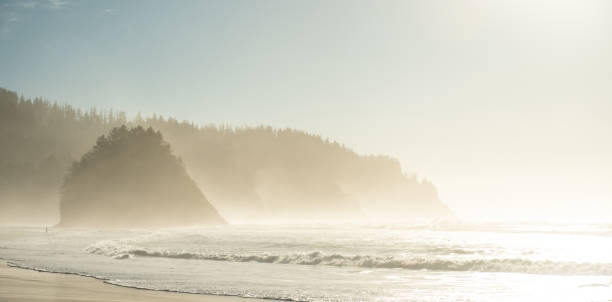 istock A Hazy Day at Oregon's Neskowin Beach 1394493882