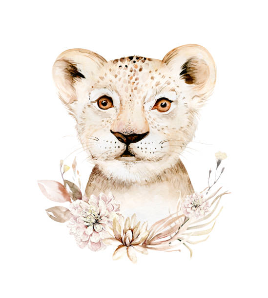 ilustrações, clipart, desenhos animados e ícones de leão de savana de aquarela africana, ilustração animal. safári africano gato selvagem gato bonito animais exóticos enfrentam personagem retrato. isolado no design do pôster branco - illustration and painting image computer graphic lion