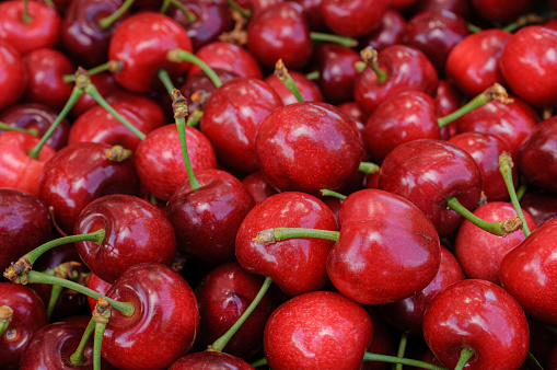 Close-up of Bing cherries (Prunus avium) that have been boxed after being harvested.\n\nTaken in Gilroy, California, USA