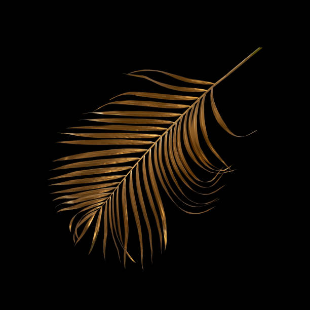 istock golden coconut leaves isolated on black background, clipping path 1394511697