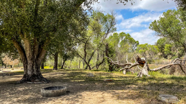 istock Vale lake California hills and oak trees 1394513295