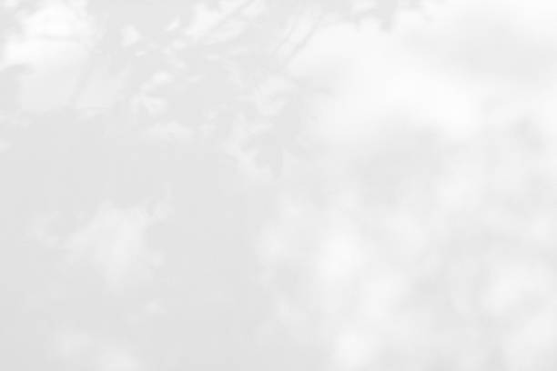 istock Seamless texture of white cement wall a rough surface and leaf shadow, with space for text, for a background 1394517095