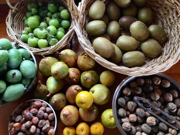 autumn crop harvest from domestic home garden - vegies vegetable basket residential structure imagens e fotografias de stock