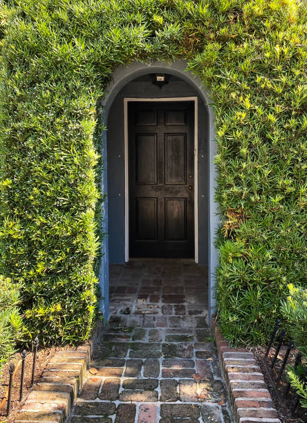 House entrance covered by ivy