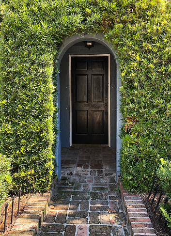 House entrance covered by ivy