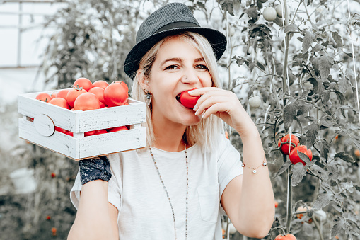Young blonde woman holding fresh tomatoes in the garden.