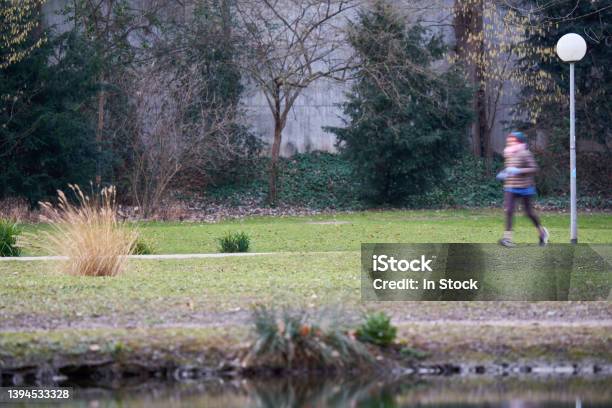 Path Near Lake A Female Jogger In The Park Woman Motion Blurred Healthy Lifestyle With Exercise Germany Stuttgart Schlossgarten Stock Photo - Download Image Now