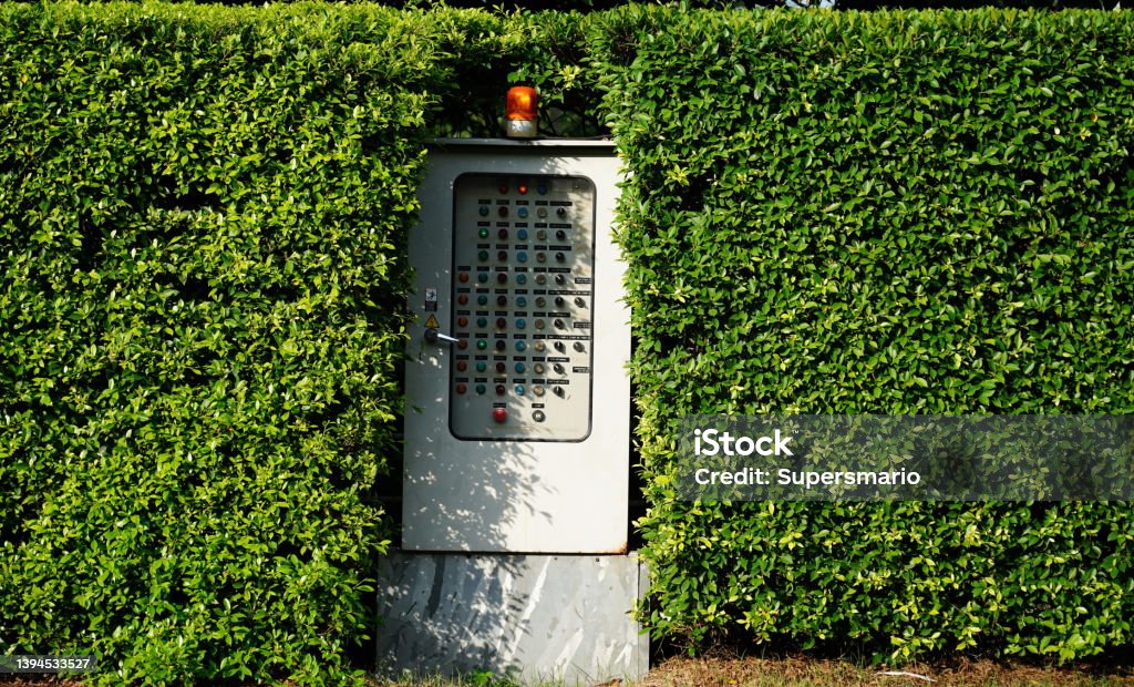 Electric control panel in  Green leaf wall Electric control panel in  Green leaf tree wall background Abstract Stock Photo