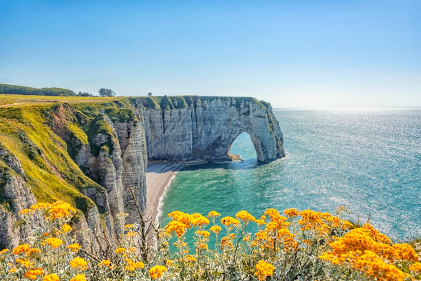 etretat, acantilados y playa en normandía, francia - normandía fotografías e imágenes de stock