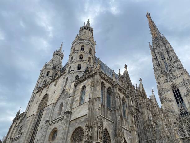 grande cathédrale avec un design magnifique sur un fond de ciel gris - stephansplatz photos et images de collection