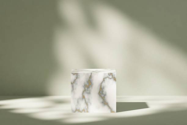 istock Abstract geometric composition with branch and shadow on the wall, Natural stone step pedestal. Trendy minimalist banner, 3D render illustration. 1394535132