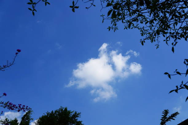 cielo azul y nube suave en la naturaleza con marco de hoja de árbol - fondo de pantalla hd de primavera fotografías e imágenes de stock